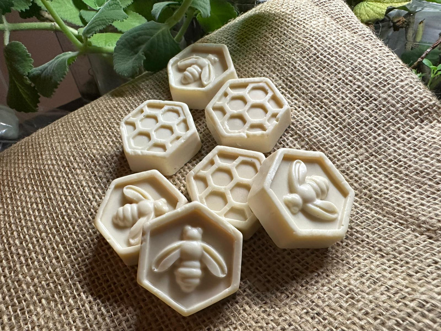 Majestic Mane Conditioning Hair Growth Shampoo Bar